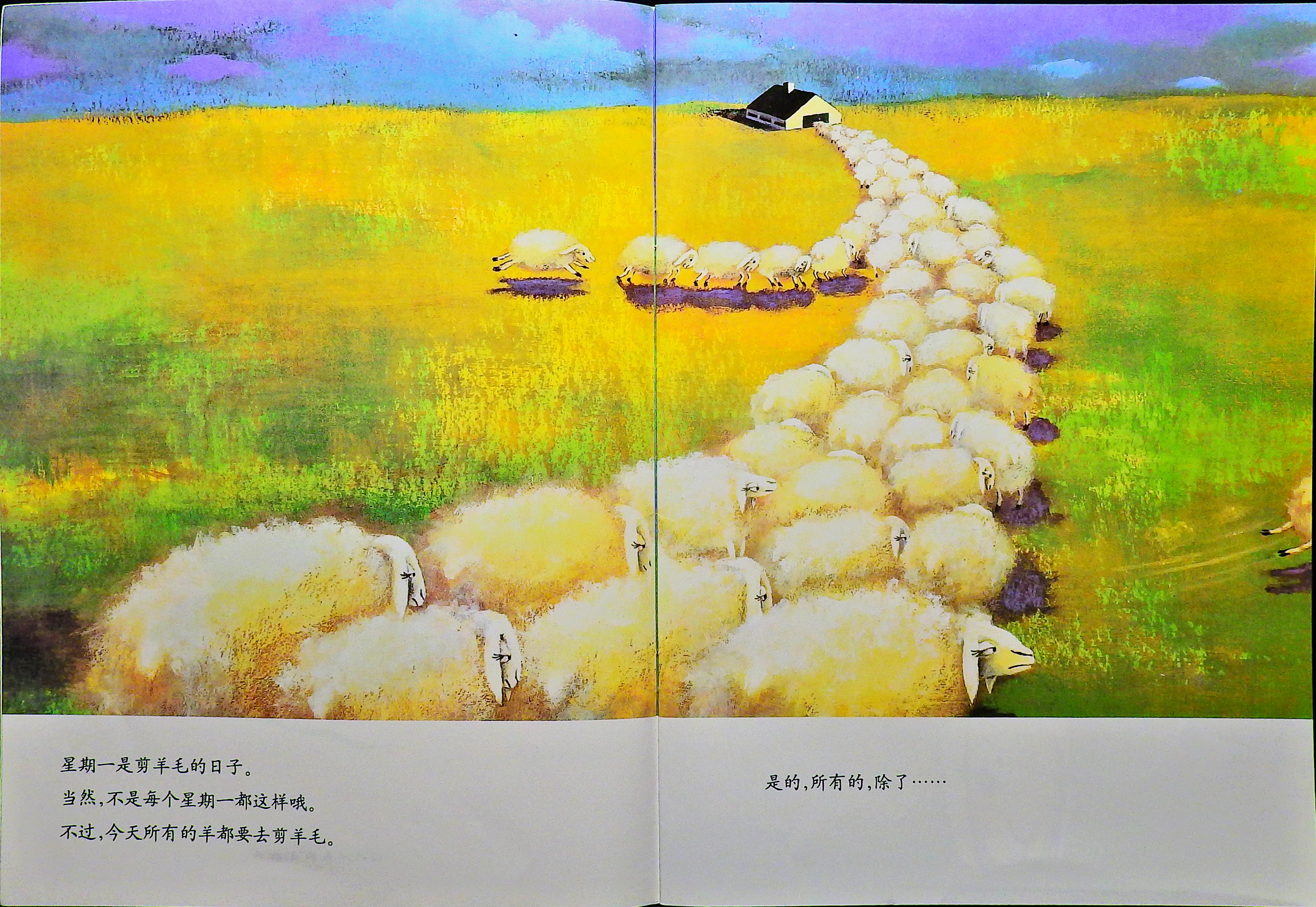 有个性的羊 (03),绘本,绘本故事,绘本阅读,故事书,童书,图画书,课外阅读
